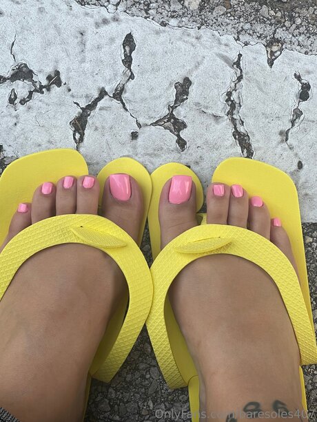 Baresoles407 model top galleries