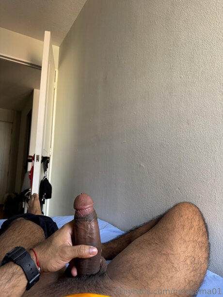 Hejasama01 adult model img