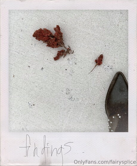 Fairysplice sex actress img