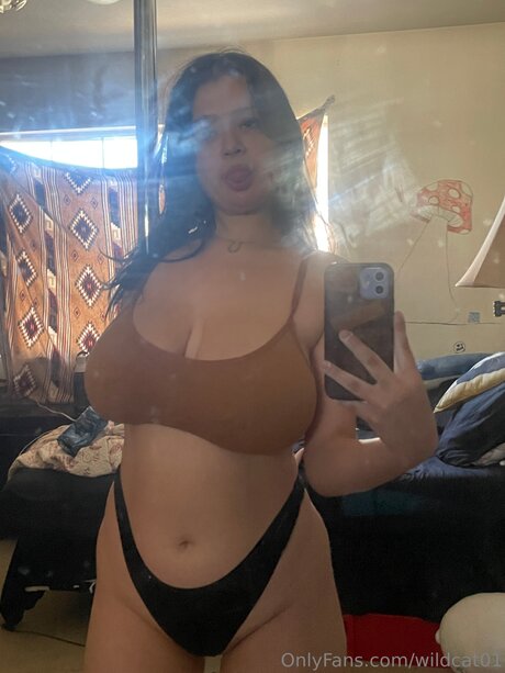 Wildcat01 model free gallery