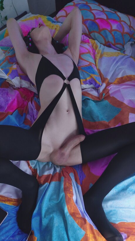 Ninaneers free star images