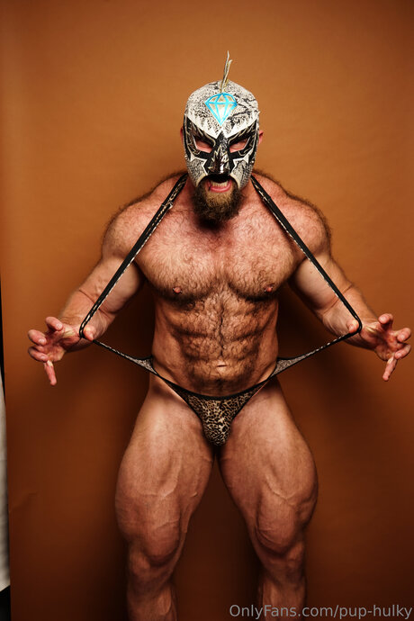 Pup Hulky model erotic picture