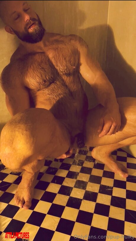 Pup Hulky erotic model img