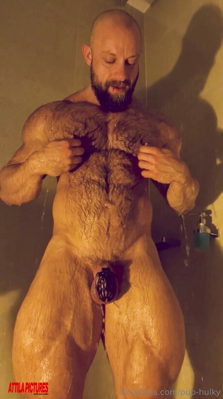 Pup Hulky erotic star archive