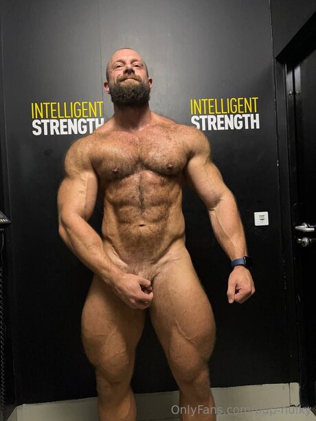 Pup Hulky star nudes image