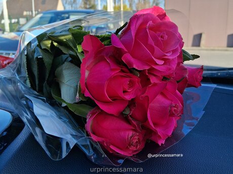 Urprincessamara erotic pornstar pictures