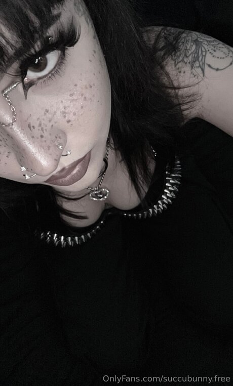 Succubunny Free star free images