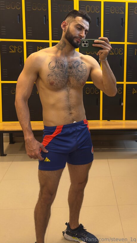 Steven 1q model hd archive