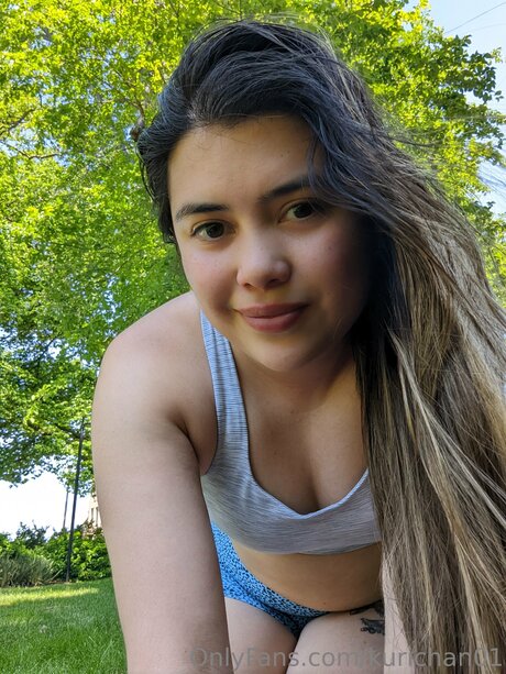 Kurichan01 model top image