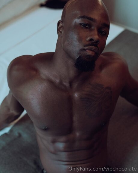 Vipchocolate pornographic star galleries