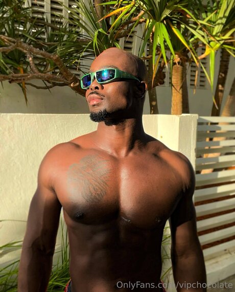 Vipchocolate star porn gallery