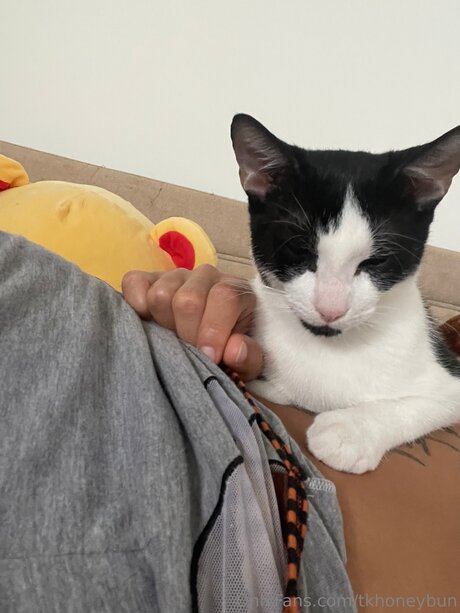 nerdygirl onlyfans beautiful xxx pics