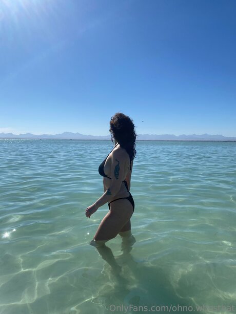 Ohno Whosthat star art galleries