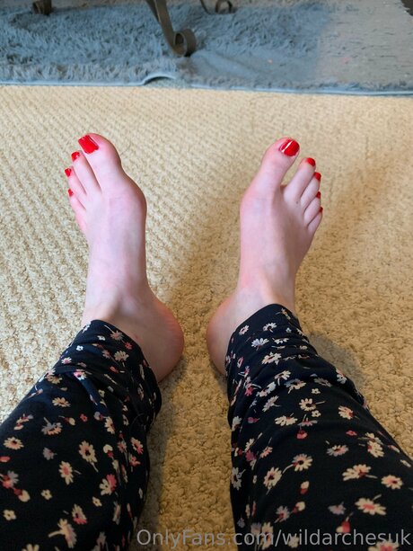 Wildarchesuk hd star image