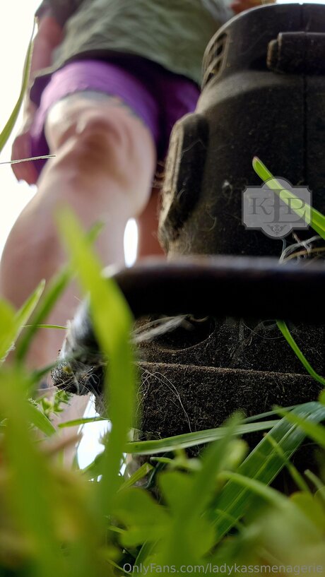 Ladykassmenagerie art pornstar photos