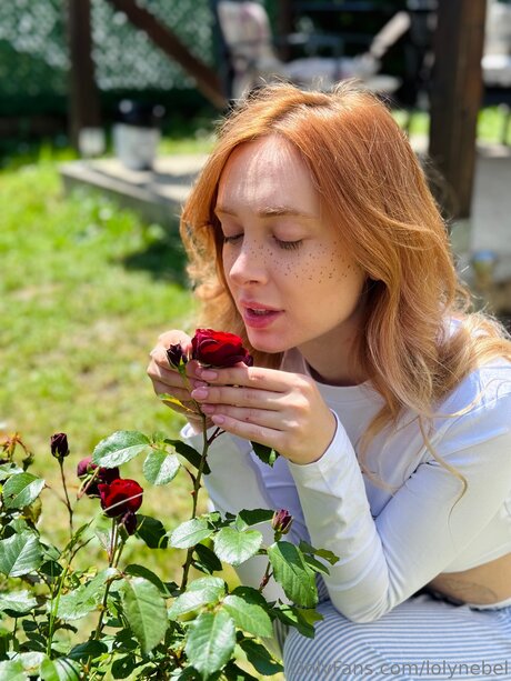 Lolynebel star top galleries