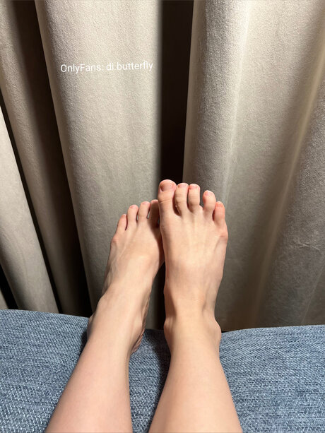 Di Butterfly hd star galleries