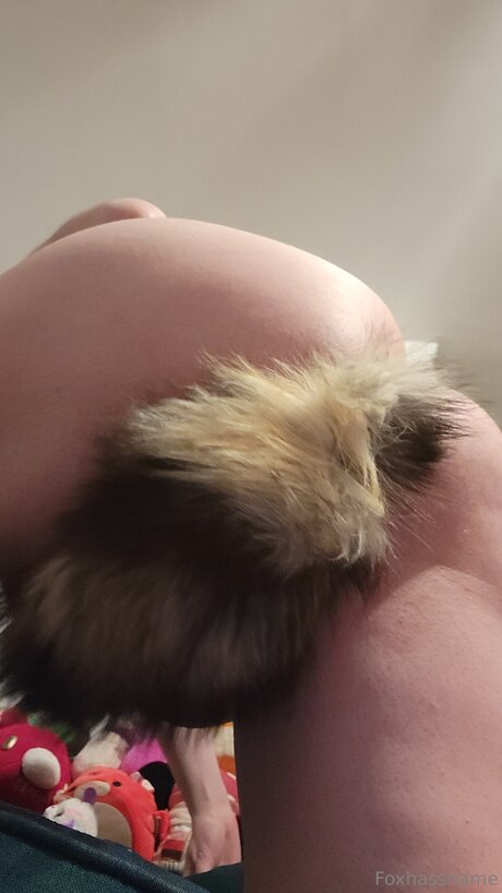 Foxhasshame best model pic