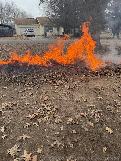 Man Of Your Dream porn actress img