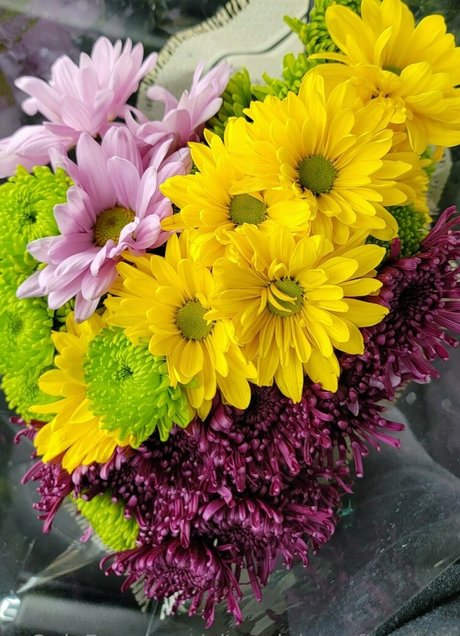 alex alaina after dark model erotic photo