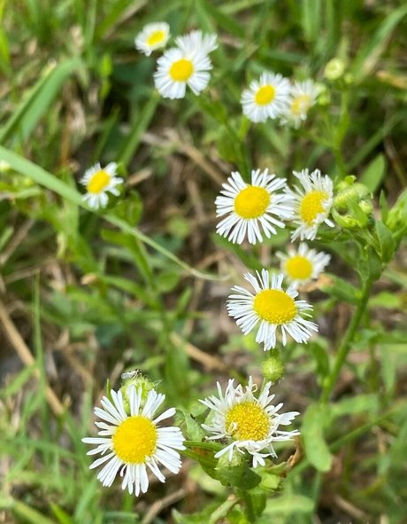 rukiabrat model nude image