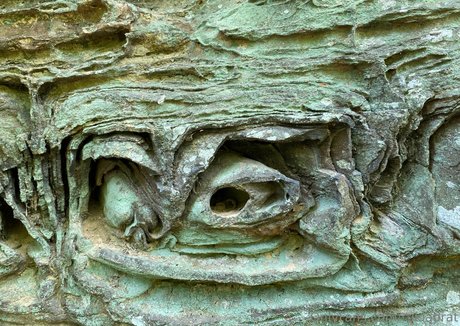 mommy son onlyfans sexy nudes galleries