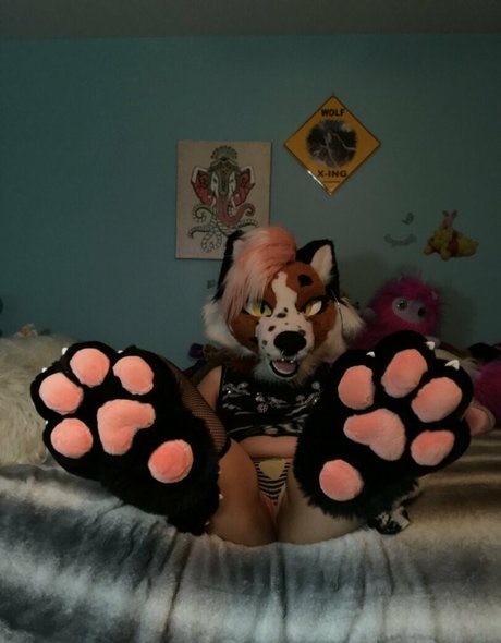 fox anatomy free star images