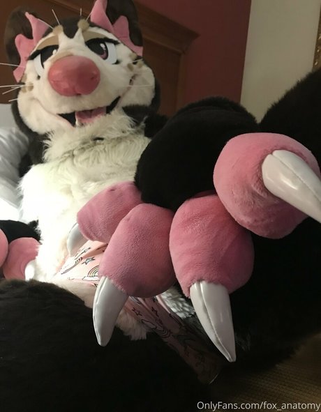 fox anatomy model perfect gallery