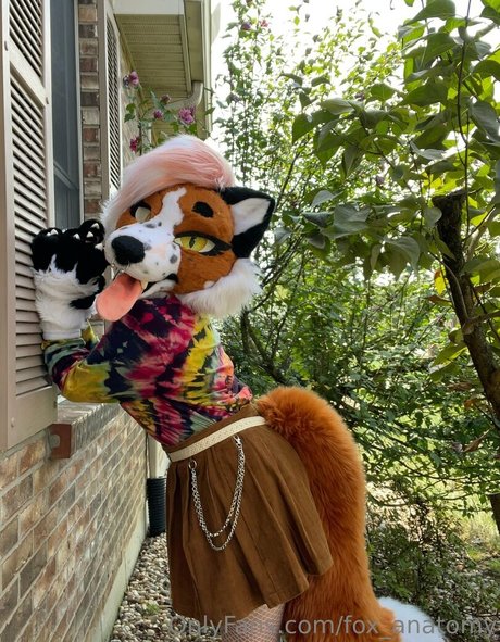 fox anatomy pornstar best pics