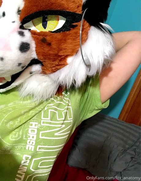 fox anatomy Profile pic