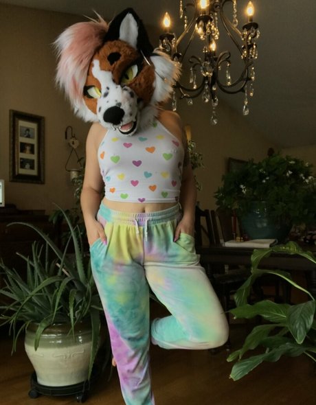 fox anatomy star nice galleries