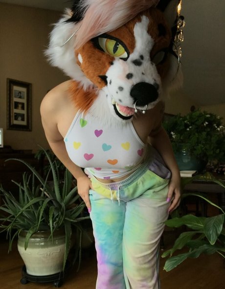 fox anatomy pornstar pretty gallery