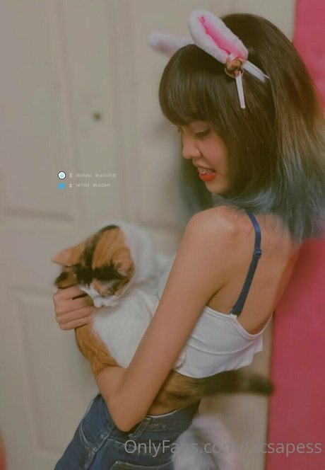 bibbob porn model images