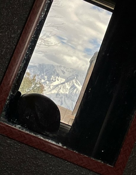 tacowhore model pretty pics