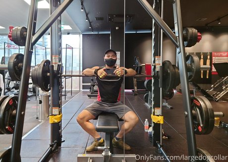 largedogcollar model hd photo