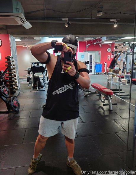 largedogcollar hot pornstar galleries