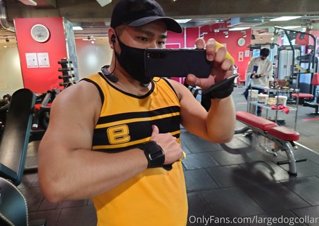 largedogcollar pornstar naked image