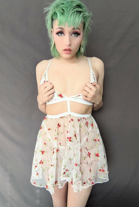 the land of odd pornstar perfect images