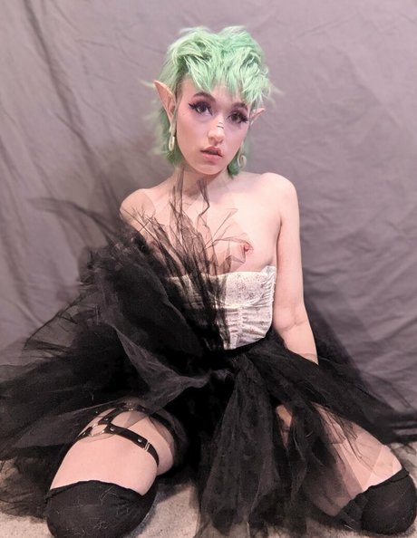 the land of odd Profile pic