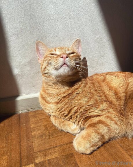 chubby slut onlyfans free sexy archive