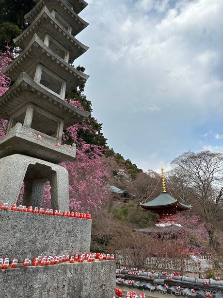 Noxlada best star photos