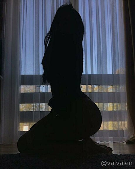 Valvalen model perfect archive