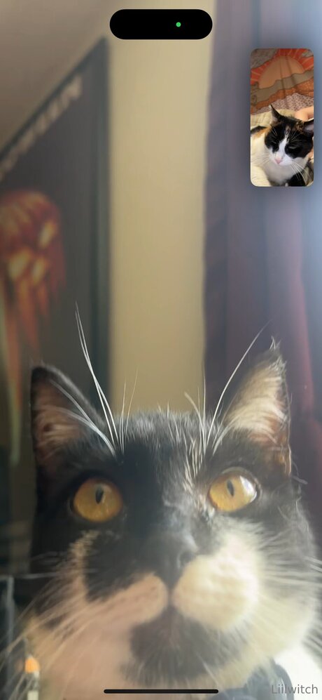 teen trans onlyfans sex pictures