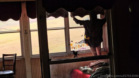 U257553590 star perfect images