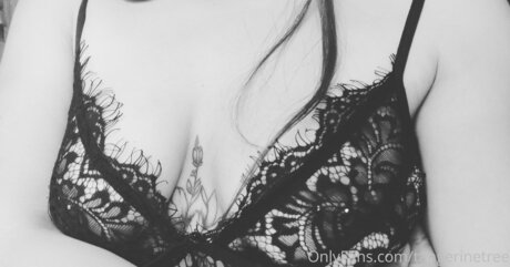 Tangerinetree pornstar pretty archive