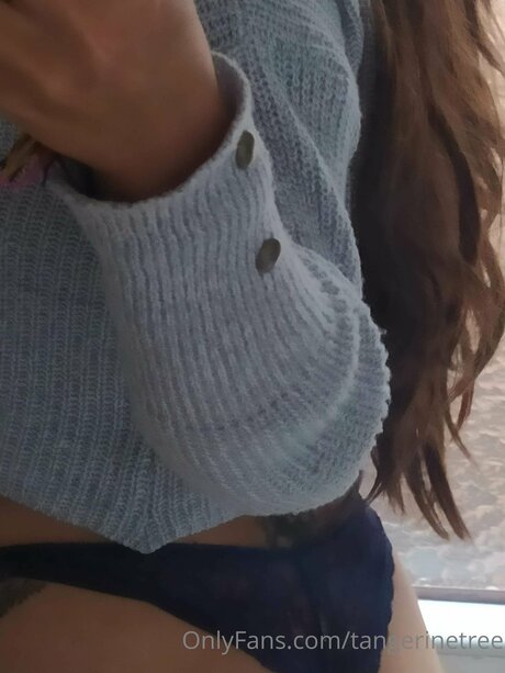 Tangerinetree star best pictures