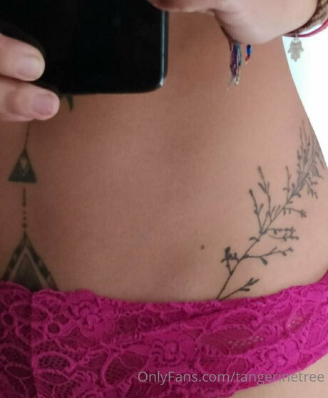 Tangerinetree model perfect img