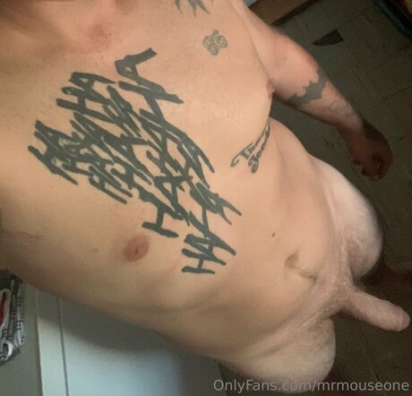 Mrmouseone xxx actress pictures