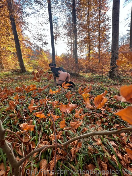 Valentinagoleafree beautiful star pics