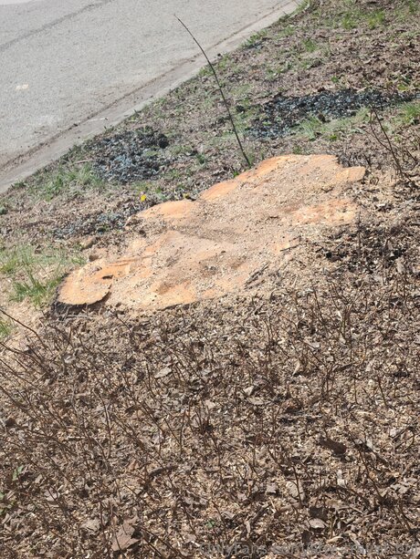 Shy Travel Boi model nude img